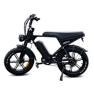 Nuevo diseño Fat Tire Bicicleta eléctrica Ruihe V8 24 pulgadas 250W 500W 1000W Fatbike para adultos - Product Image 1