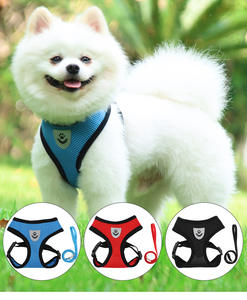 New Soft Ar Respirável Malha de Nylon Pet <span class=keywords><strong>Harness</strong></span> e Set Leash - Product Image 6