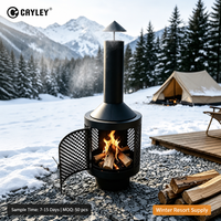 Poêle à bois d'extérieur haut de gamme CAYLEY pour le camping en plein air, le chauffage de la plage, foyer sécurisé en maille pour jardin, patio, réunions de famille