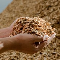 Copeaux de bois organiques en vrac pour paillis de jardinage et aménagement paysager, rétention d'humidité du sol, prix usine pour l'exportation en gros