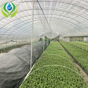 Serre tunnel MYXL invernadero en plastique à faible coût pour les plantes - Product Image 3