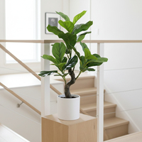 Großhandel Premium Künstlicher Geigenblatt-Feigenbaum 60cm Mit Realistischen Üppigen Blättern für Heim- und Bürodekoration Innen- und Außenbereich