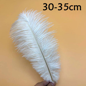 <span class=keywords><strong>Piume</strong></span> di struzzo sfuse in più misure, rosa acceso/verde lime/rosso <span class=keywords><strong>fucsia</strong></span>, per feste di Carnevale e accessori fai da te per capelli - Product Image 2