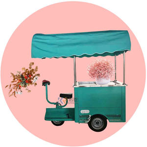 Camions de restauration rapide 2025, chariots de restauration, entièrement équipés, remorque de restauration mobile pour pizza, avec équipement de cuisine complet à vendre - Product Image 2