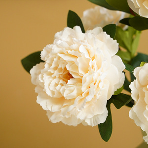 Flores de Peonía Artificiales Ruilisi, 5 Cabezas, Flor de Seda Blanca, Decoración para Bodas y Hogar - Product Image 4