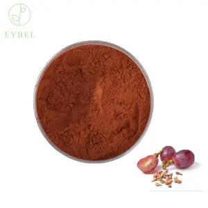 Grapefruit Factory Supplier Natural Cas 84929-27-1 Fruit Powder Extract Grape Seed Extract Powder grapefruit extract