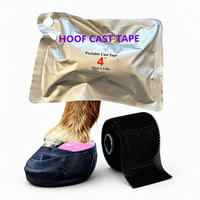 Bandage orthopédique durable en fibre de verre pour soins équins, instrument vétérinaire pour le traitement et la protection des problèmes de sabots de cheval