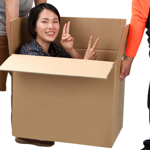 High Quality Custom <strong>Printed</strong> Logo Recyclable Mailer Carton Corrugated Cardboard Boxes Shipping Package <strong>Cheap</strong> Kraft <strong>Paper</strong> <strong>Box</strong> - Product Image 5