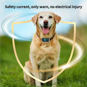 Беспроводная система электронного ограждения для собак 2-го поколения с GPS, водонепроницаемая (IPX6), пластиковый приемник с отслеживанием в реальном времени - Product Image 4