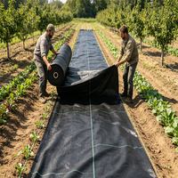 Membrane tissée en PP, couverture de sol en PE, filet anti-herbe, tissu anti-mauvaises herbes, film de paillage, plastique UV, plastique agricole