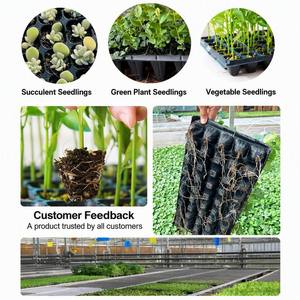 Plateau de semis Yunuoxi 50 cellules 54x28cm, plateau de pépinière en plastique PET 5x10, cellules profondes de 4,8cm, pour la germination des plantes, vente en gros - Product Image 2