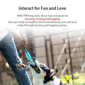 2025 superzoo GWI suppa PPA กระต่ายตุ๊กตาหมาของเล่น TPR ร่างกาย S ขนาด squeaker ภายใน - Product Image 4