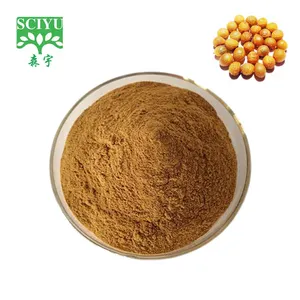 Sapindus Mukurossi Extract Soap Nut Powder Chinese Soapberry Fruit Extract Powder 40%-70% Saponins