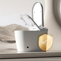 Toilette électrique sans réservoir à nettoyage multiple Toilette électrique à chasse d'eau automatique en céramique Toilette intelligente intelligente avec bidet
