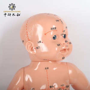 Acupunctuurpuntmodel voor baby's met Engelse en Chinese identificatie en moxibustie-simulatie - Product Image 1