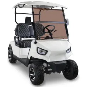 2 seater electric golf cart AW2024K for Promotion