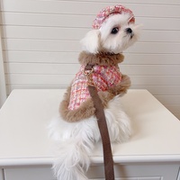 Nouvel ensemble de harnais classique rayé pour chien avec fermeture auto-agrippante pour petites/moyennes races