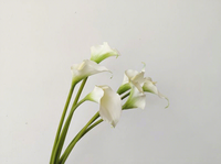 Bunga Calla Lily Putih Buatan Pabrik Langsung, Taro Guanyin Lotus, Model Cetakan Injeksi, Rangkaian Bunga Linear untuk Ruangan