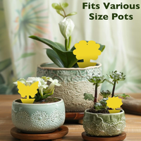 Pièges à insectes personnalisables à motifs irréguliers, attrape-insectes collants au design personnalisé pour plantes d'intérieur et jardins d'herbes aromatiques