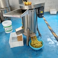 Machines à purée de mangue horizontales et verticales, machines à jus de tomate en spirale