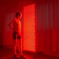 Panel de Terapia de Luz Roja LED de Venta al por Mayor de Fábrica, 610/630/660/810/830/850/940/1060nm con Soporte Eléctrico