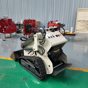 <span class=keywords><strong>Ce</strong></span> EPA chứng nhận động cơ lật nhà máy bán hàng trực tiếp giá cả phải chăng New mini bánh xe tải Skid chỉ đạo Bộ nạp - Product Image 2