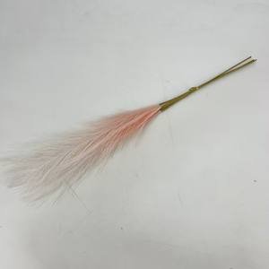 Tutti i colori più recenti Mini Faux <span class=keywords><strong>Pampas</strong></span> <span class=keywords><strong>la</strong></span> pampa artificiale erba vendita calda per <span class=keywords><strong>la</strong></span> casa o artificiale <span class=keywords><strong>Pampas</strong></span> parete utilizzando - Product Image 3