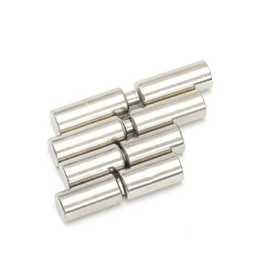 Cylindrical <strong>Pivot</strong> Large Door <strong>Hinge</strong> Rotating Welded Ground Axis Heavy-Duty Stainless Steel Door Pin - Product Image 1