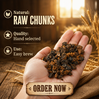 Champignons Chaga Sauvages Naturels, Morceaux de Chaga de Bouleau, Inonotus Obliquus, Champignons Séchés pour Boissons à Base de Plantes, Thé, Matière Première, Vente en Gros en Vrac