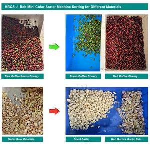 AI Intelligent 500-3000kg/h Belt Walnut Coffee Bean Cherry Garlic Chili Olive Tomato Jerky Plastic Color Sorter Sorting Machine - Product Image 5