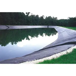 Alta Qualidade HDPE Fish Pond Liner Produto Lldpe Fish Pond Piscina Fabricante Geomembrana