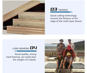 Sellador de <span class=keywords><strong>Madera</strong></span> para Exteriores Formaximum PU Stone Wood Treatment, Pintura Resistente a la Intemperie de Alta Presión, Inhibidores UV, Resistencia al Moho, para Maderas Contrachapadas - Product Image 3