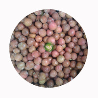 XMSD IQF Diepvries Lychee Bulkverpakking Van HACCP en BRC Gecertificeerde Fabriek Voor Exportorderafhandeling en Verzendklarheid