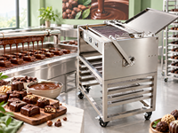 Machine à enrober le chocolat, machine commerciale pour enrober les biscuits, les beignets, les noix et les bonbons au chocolat, à vendre