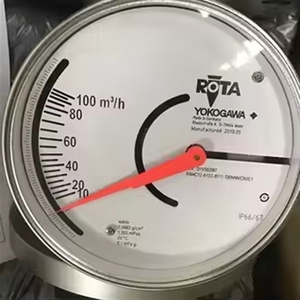 Medidor de Flujo de Área Variable Yokogawa RAMC, Rotameter de Acero Inoxidable Yokogawa 02 RAMC05-D4SS-72S5-T90NNN/BG/K6/P6/CN, ¡Oferta Especial! - Product Image 4