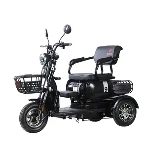 Electric 3 wheeler 48v 600w mini people leisure bike