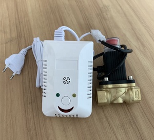 Co <span class=keywords><strong>gas</strong></span> <span class=keywords><strong>Leak</strong></span> Detector <span class=keywords><strong>Sensor</strong></span> với <span class=keywords><strong>solenoid</strong></span> <span class=keywords><strong>valve</strong></span> nhà hệ thống báo động - Product Image 3