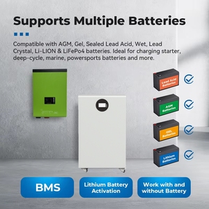 Yingke năng lượng mặt trời Hybrid tắt lưới biến tần 4Kw 5KW 6KW 7kW 3KW 2kw 24V 48V 12V AC tần số thấp năng lượng mặt trời biến tần với 60A MPPT sạc - Product Image 4