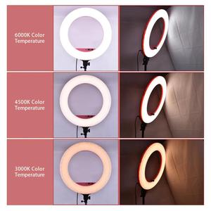 Anneau lumineux pour studio <span class=keywords><strong>photo</strong></span> 100W, 480 <span class=keywords><strong>LED</strong></span>, LF-R480, anneau lumineux à intensité variable - Product Image 6