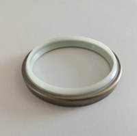 Joint d'étanchéité en métal DKBI à double lèvre pour protection de tige de vérin hydraulique