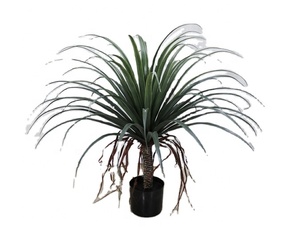 Outdoor Indoor Dekoration Fabrik gefälschte Baumpflanzen künstliche große Drachenblut baum große gefälschte Pflanze im Topf - Product Image 1