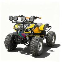 Ventes chaudes Nouveau buggy électrique sans balais 48V 500W Mini quad électrique Voiture Jouet à roulettes unisexe