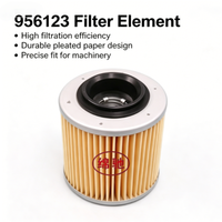 Filtre à carburant moteur de haute qualité en gros 420956123 956123 pour équipement marin