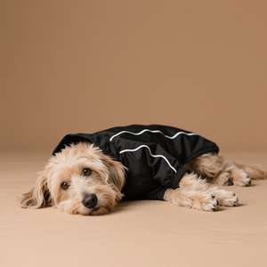 Joymay Hot <span class=keywords><strong>Sale</strong></span> Luxus Black Dog Regenmantel Reflektieren der Reiß verschluss knopf Alle Rassen Regenschutz für Haustiere Leichter Stoff Sommer - Product Image 3