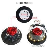 AYOYO OEM rose fleurs préservées fini coloré rose amour verre couverture amoureux 2025 cadeau de fête des mères