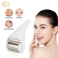OEM ODM Rouleau de massage froid pour soins de la peau, blanchissant, pour pieds, lèvres, corps, usage domestique, thérapie faciale