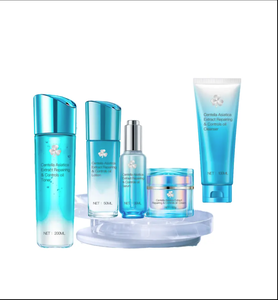 Unisex <span class=keywords><strong>Centella</strong></span> Body ca & hyaluronik asit yüz onarım cilt bakımı seti E vitamini & B5 vücut üzerinde koyu daire ve işareti kaldırma için - Product Image 1