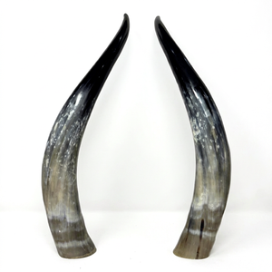 Par de Cuernos Largos de Vaca Auténtica, Decoración Rústica de Estilo Occidental para el Hogar, Cuernos de Búfalo Naturales Pulidos con Tacto Real y Forma Natural - Product Image 1