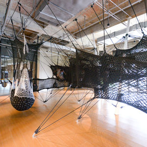 NETSTRIBE-Nido de Hormiga Tejido con Cuerda para Niños, <span class=keywords><strong>Curso</strong></span> de Aventura para Escalada al Aire Libre y Actividades de Team Building - Product Image 2