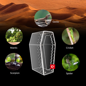 Hábitat de Acrílico para Arañas Saltadoras, Recinto Versátil para Reptiles, Terrario Transparente para Insectos, para Arañas, <span class=keywords><strong>Tarántulas</strong></span>, Geckos - Product Image 1